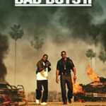 Çılgın İkili 2 izle
