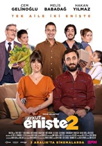Aykut Enişte Film Serisi