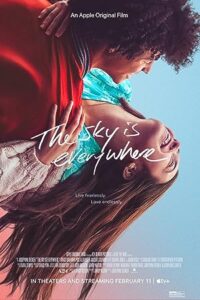 The Sky Is Everywhere izle