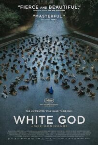 Beyaz Tanrı izle