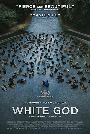 Beyaz Tanrı izle
