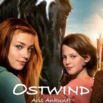 Kasirga 4: Arinin Gelişi izle