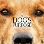 Can Dostum izle