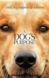Can Dostum Film Serisi