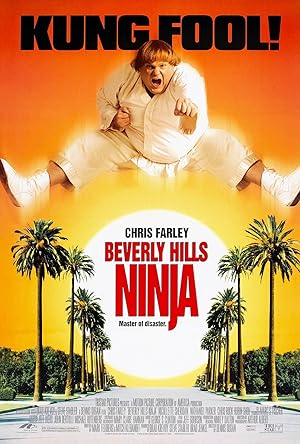 Beverly Hills Ninjası izle