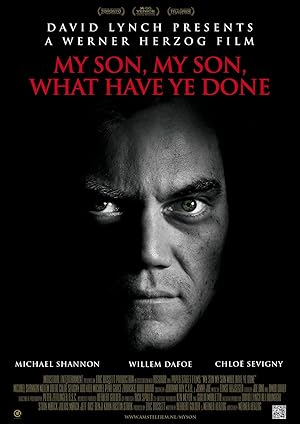 Benim Güzel Oğlum, Ne Yaptın Sen? izle