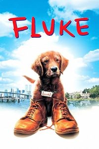 Şanslı izle