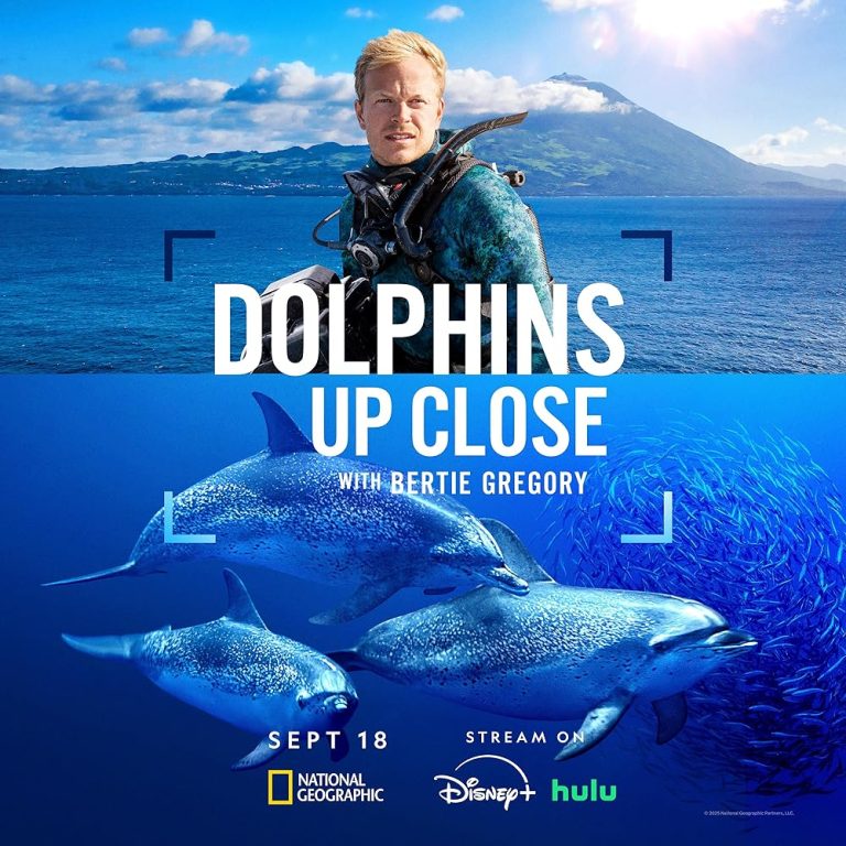 Dolphins Up Close with Bertie Gregory izle