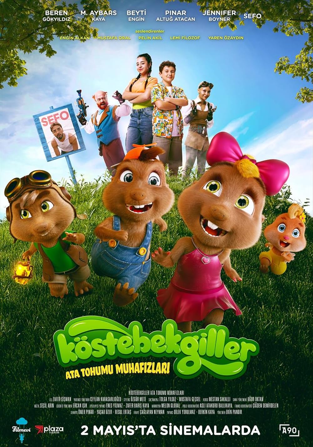 Köstebekgiller Film Serisi