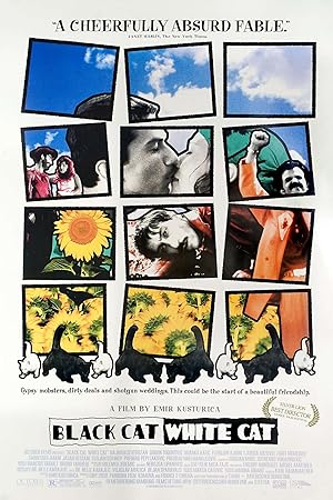 Kara Kedi Ak Kedi izle