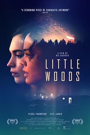 Little Woods izle