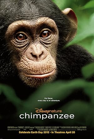 Şempanze izle